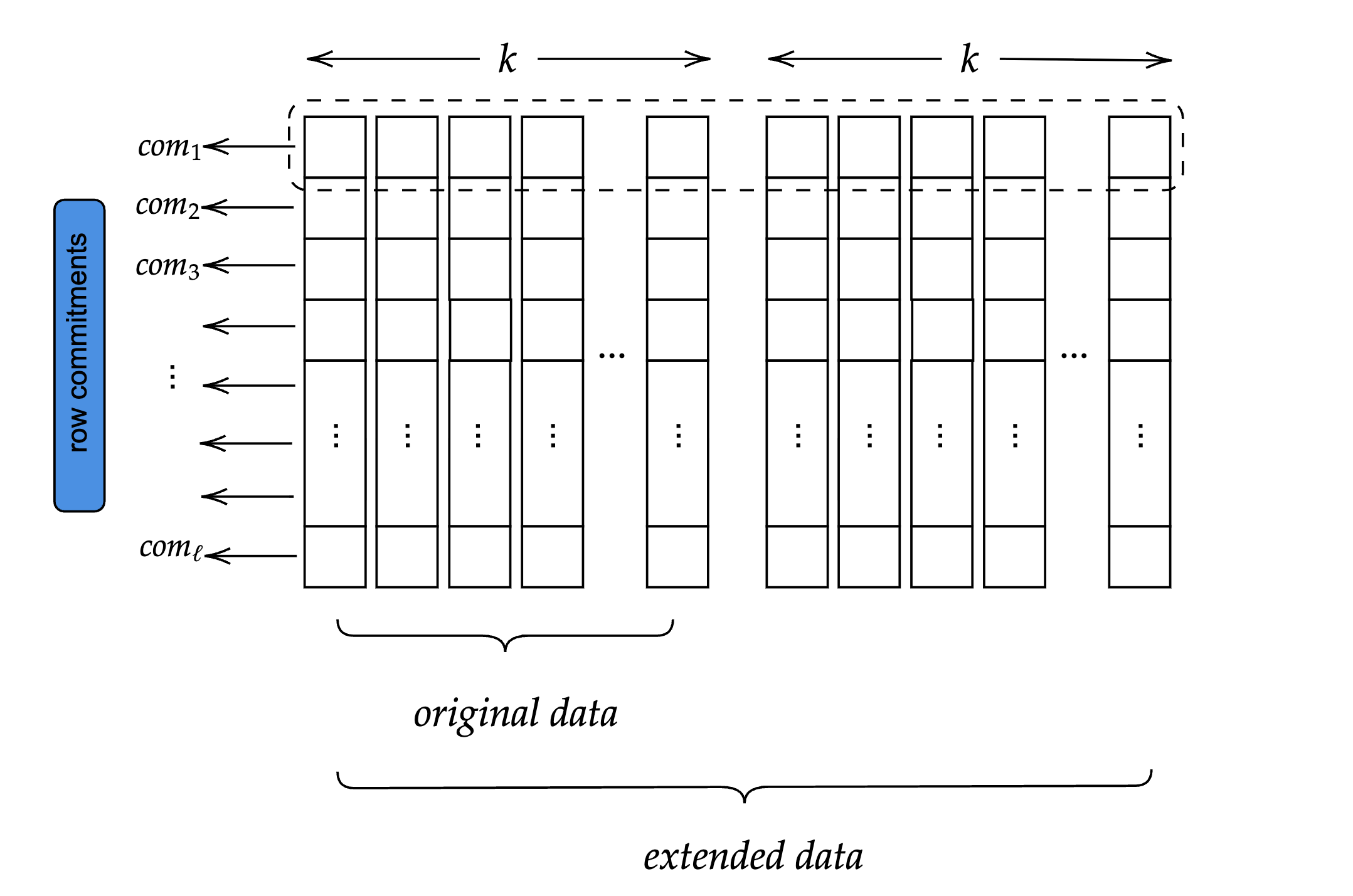 Extended Data Matrix